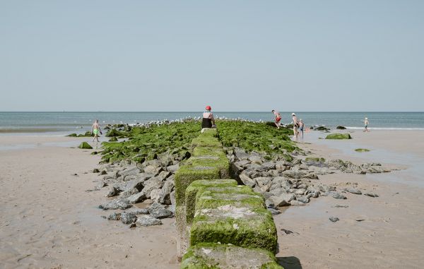 Auf einem Kurztrip Sylt kennenlernen