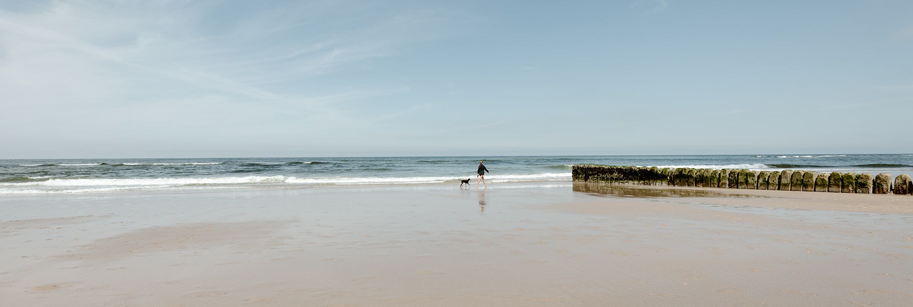 Urlaub mit Hund