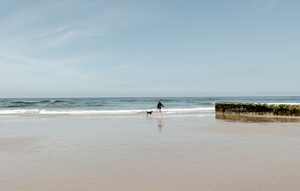 Insel Sylt mit Hund entdecken